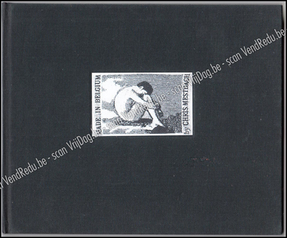 Image de Colonies de vacances & Gymnasium de sport